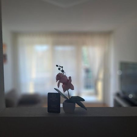 Ferienwohnung Shirin Rust Luaran gambar
